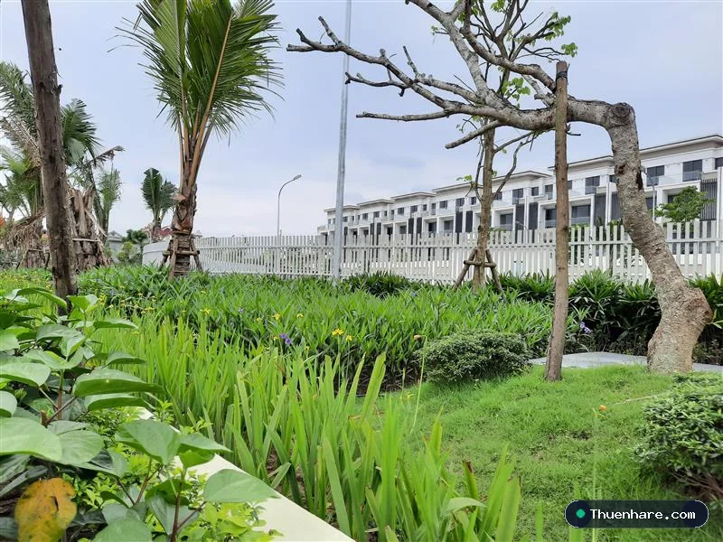 cho thuê nhà nguyên căn tại gò vấp