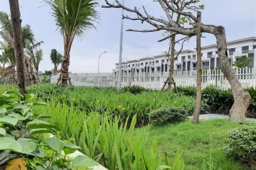 cho thuê nhà nguyên căn tại gò vấp